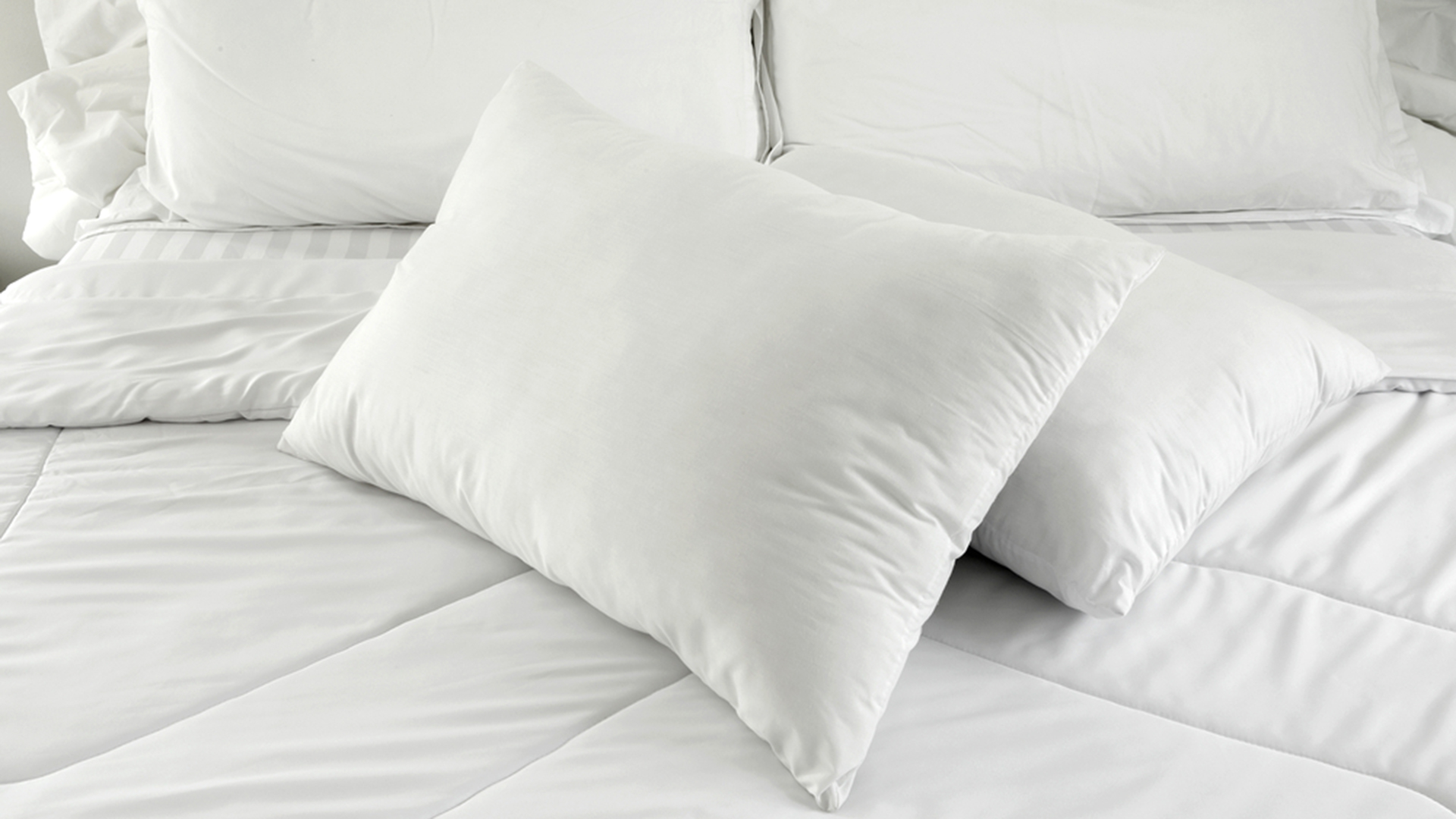 Home Natural Latex Foam Ent